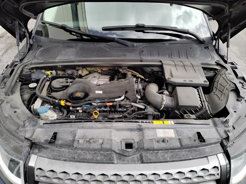 GuidiCar - LAND ROVER Range Rover Evoque 2019 Evoque 2.0 td4 SE Business edition 150cv 5p auto my19 Usato